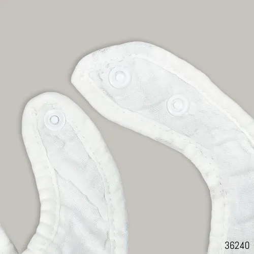 lgPicture