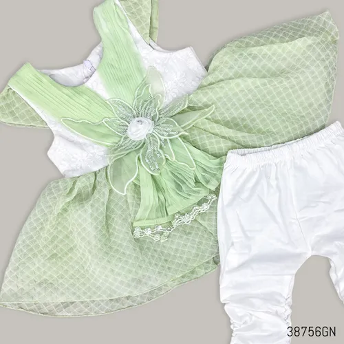 lgPicture