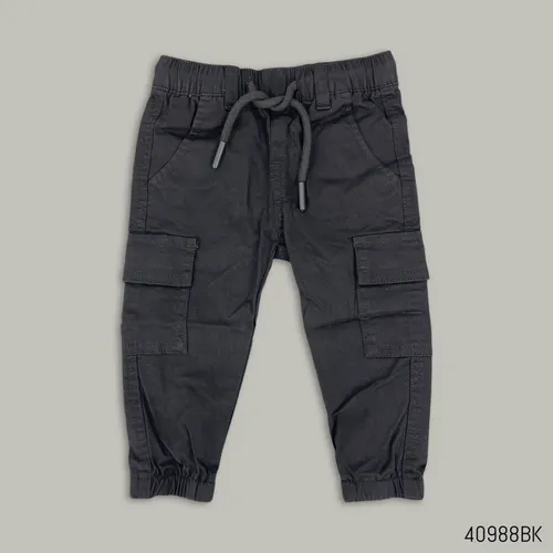 lgPicture